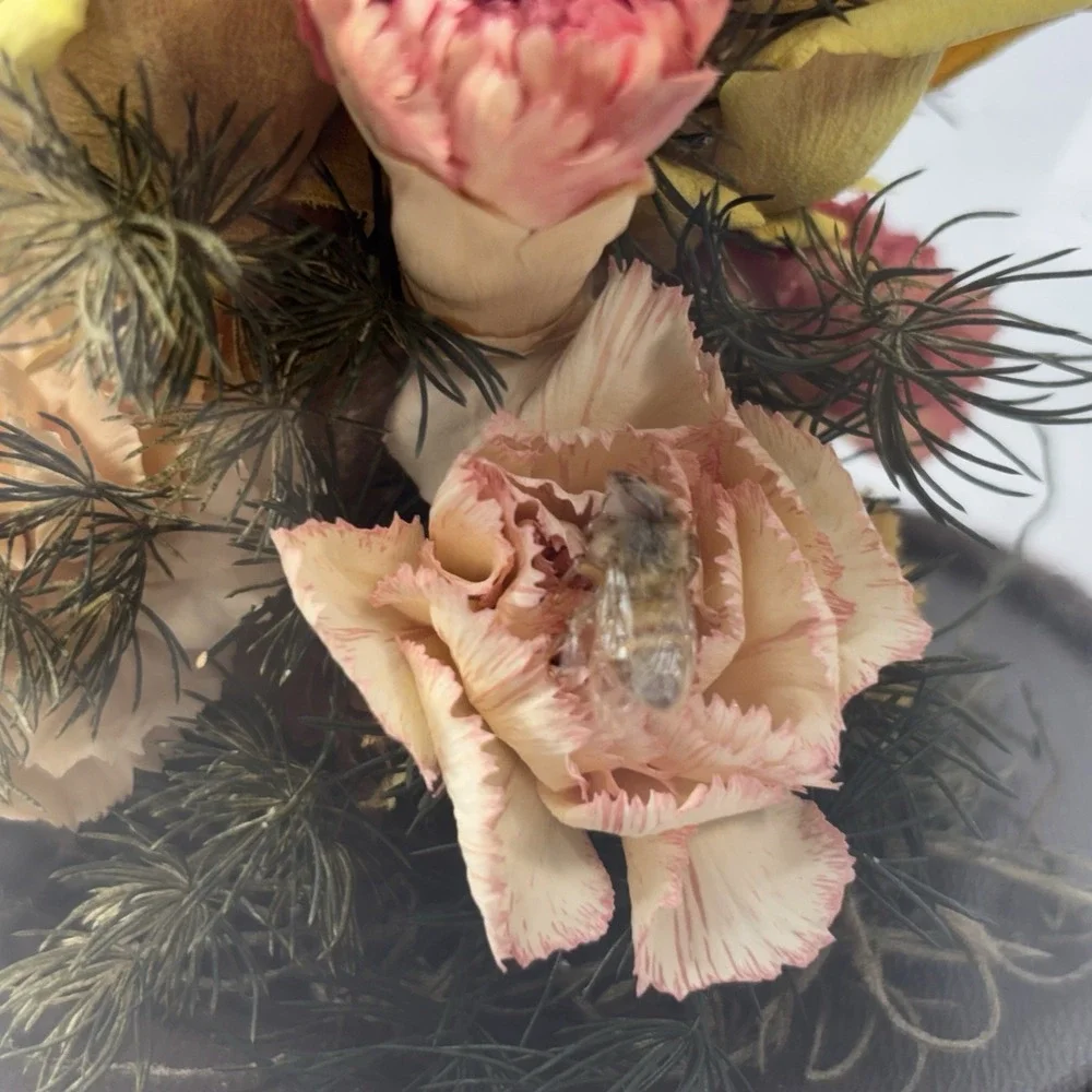 Vtg Dried Flower & Butterfly Bee Domed‎ Diorama Cloche MCM Decor Wood Base 7.5
